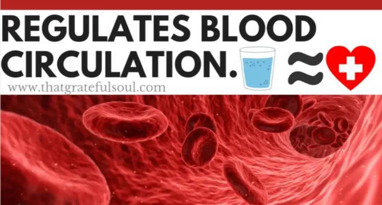 12 Magical Benefits Of Drinking Warm Water Everyday 4 warm water on blood circulation
