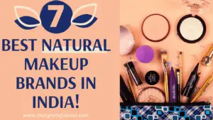 makeup brands in india