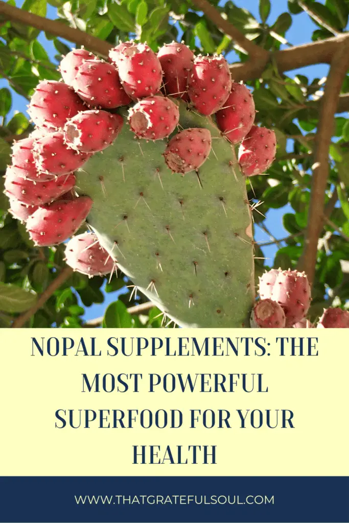 Nopal Supplements: The Most Powerful Superfood For Your Health