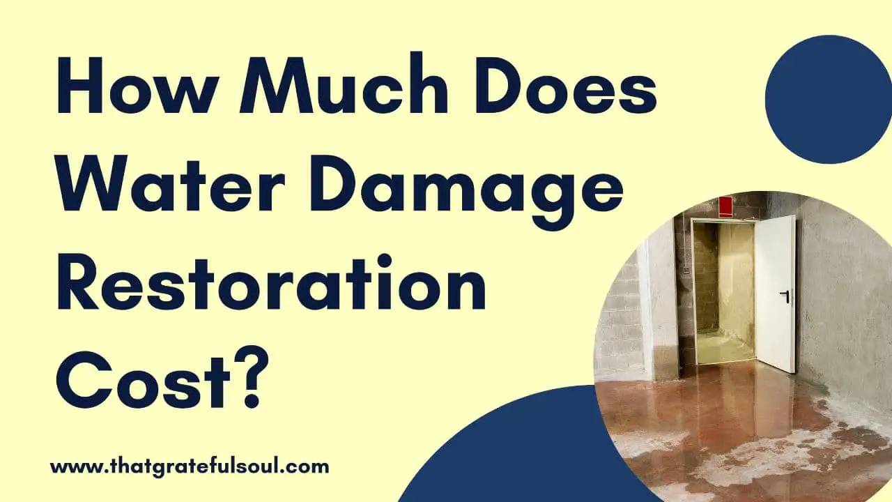 How Much Does Water Damage Restoration Cost? That Grateful Soul