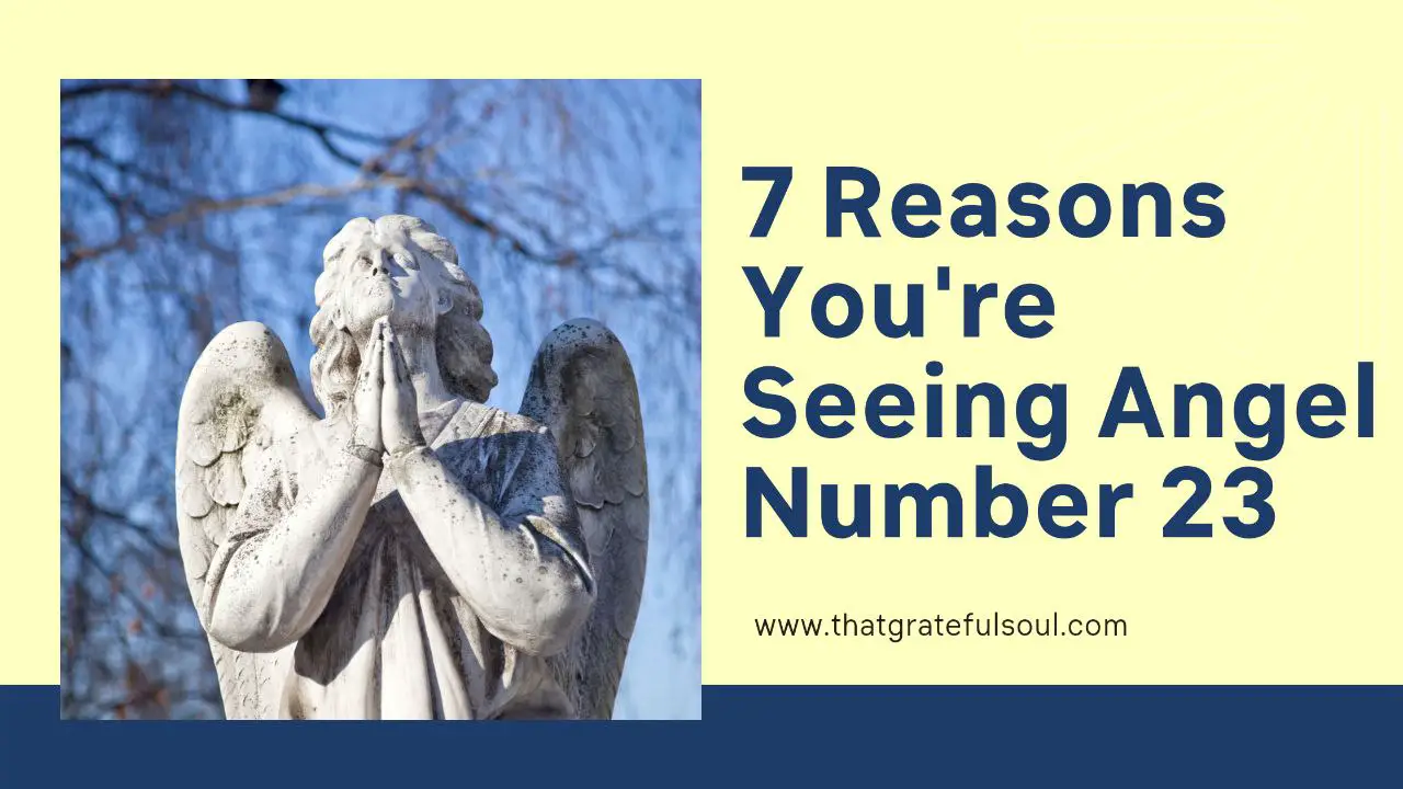 7-reasons-you-re-seeing-angel-number-23-that-grateful-soul