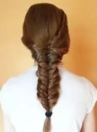 Fishtail Braids Straight Back Hairstyle